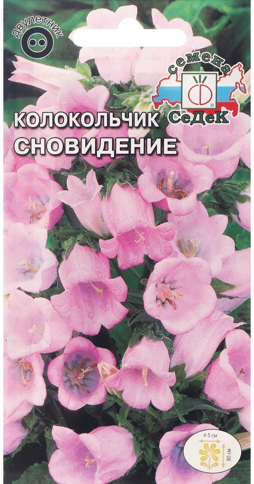 Семена Цветов Колокольчик 