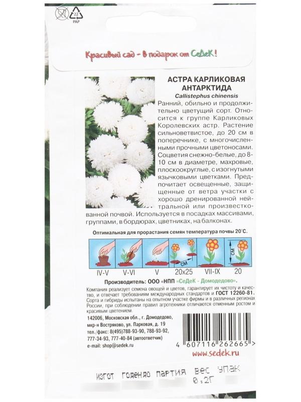 Семена Цветов Астра 