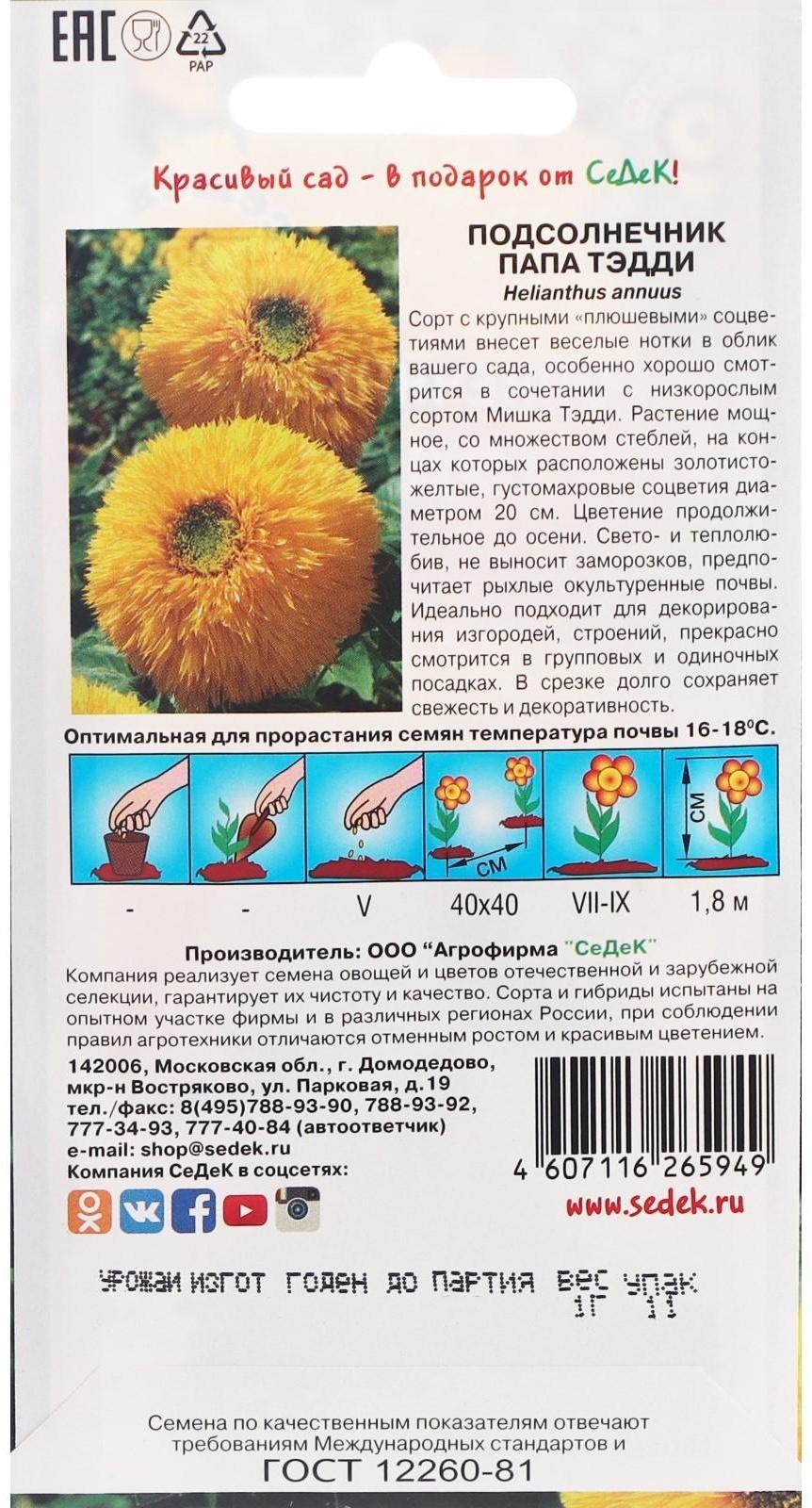 Семена цветов цветок Подсолнечник Папа Тэдди (масличный, высокорослый, махровый, золотисто-ж