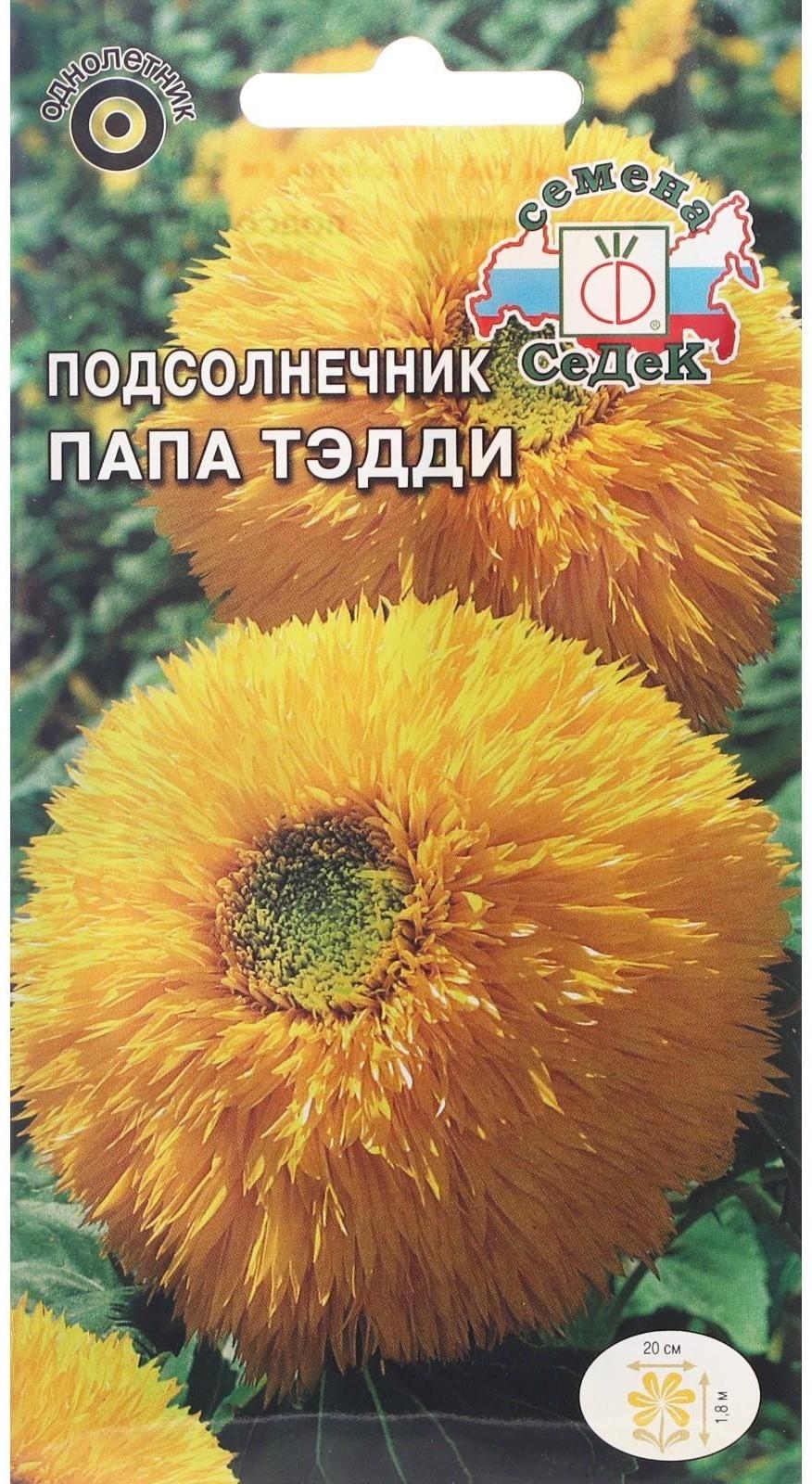 Семена цветов цветок Подсолнечник Папа Тэдди (масличный, высокорослый, махровый, золотисто-ж
