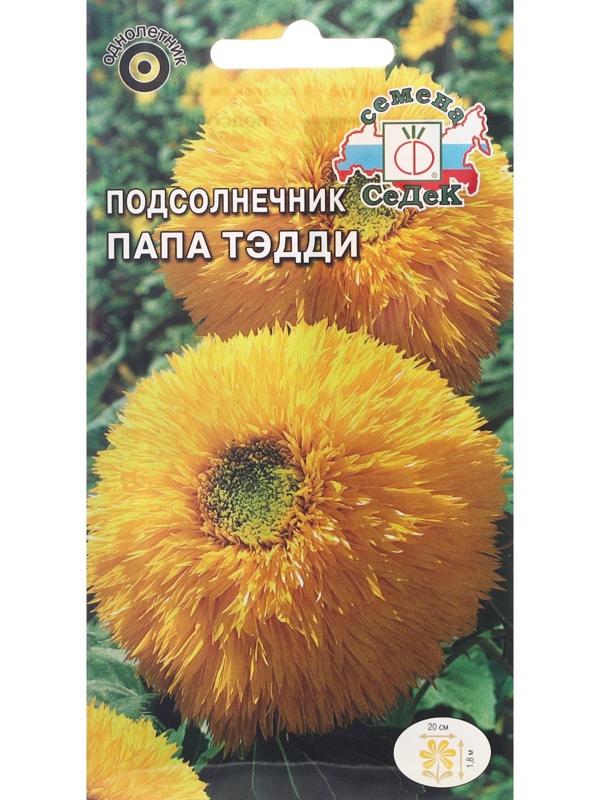 Семена цветов цветок Подсолнечник Папа Тэдди (масличный, высокорослый, махровый, золотисто-ж