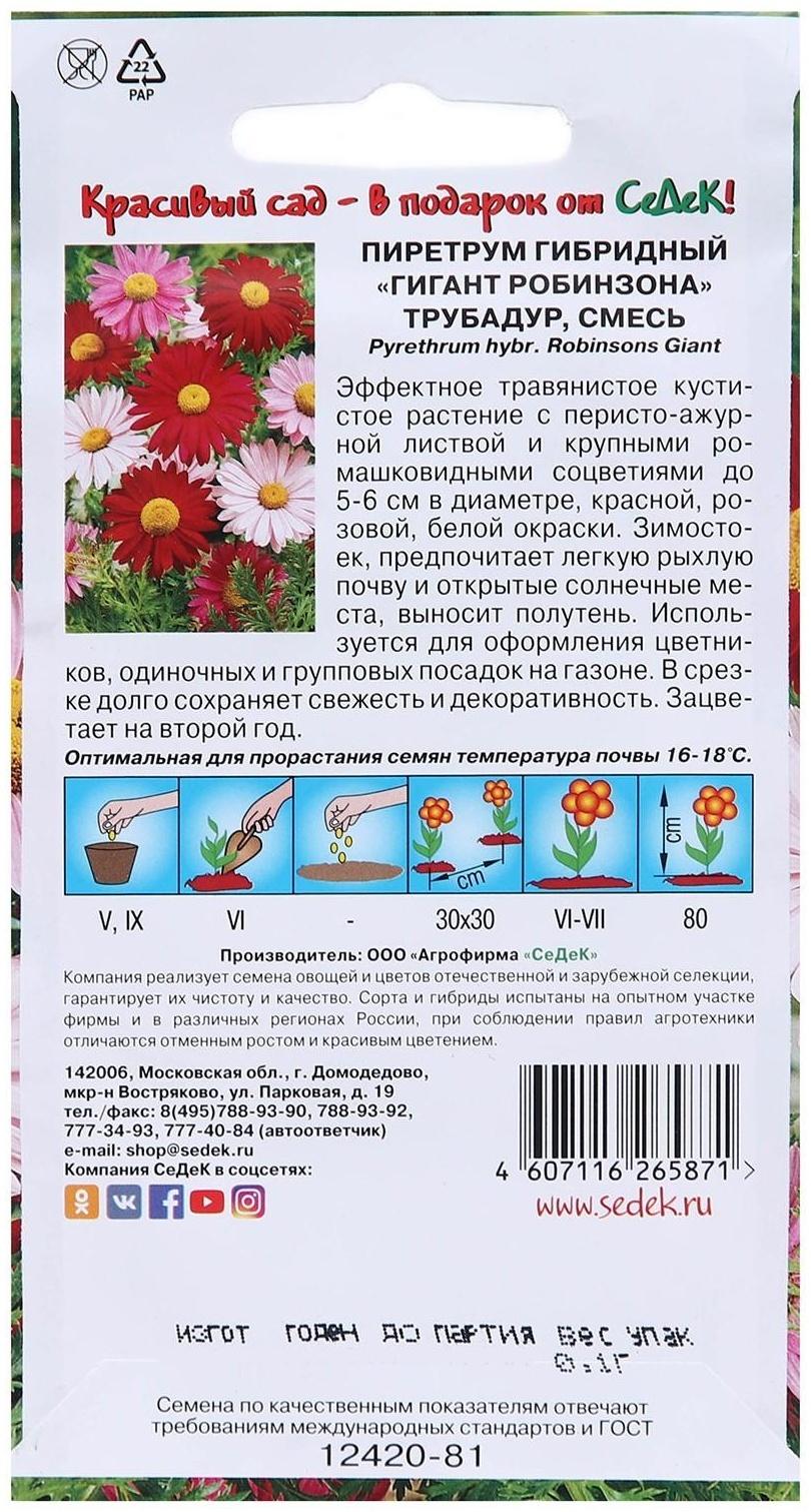 Семена Цветов Пиретрум 