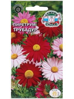 Семена Цветов Пиретрум 