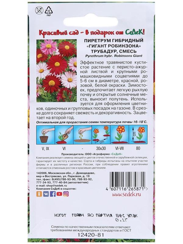 Семена Цветов Пиретрум 