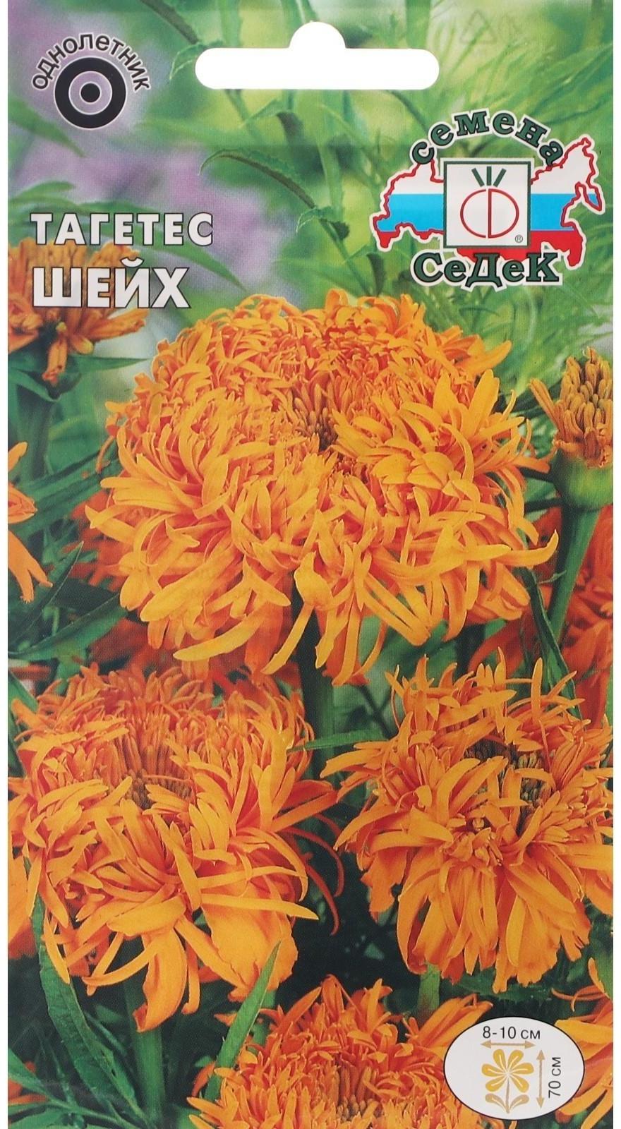 Семена цветов Тагетес 