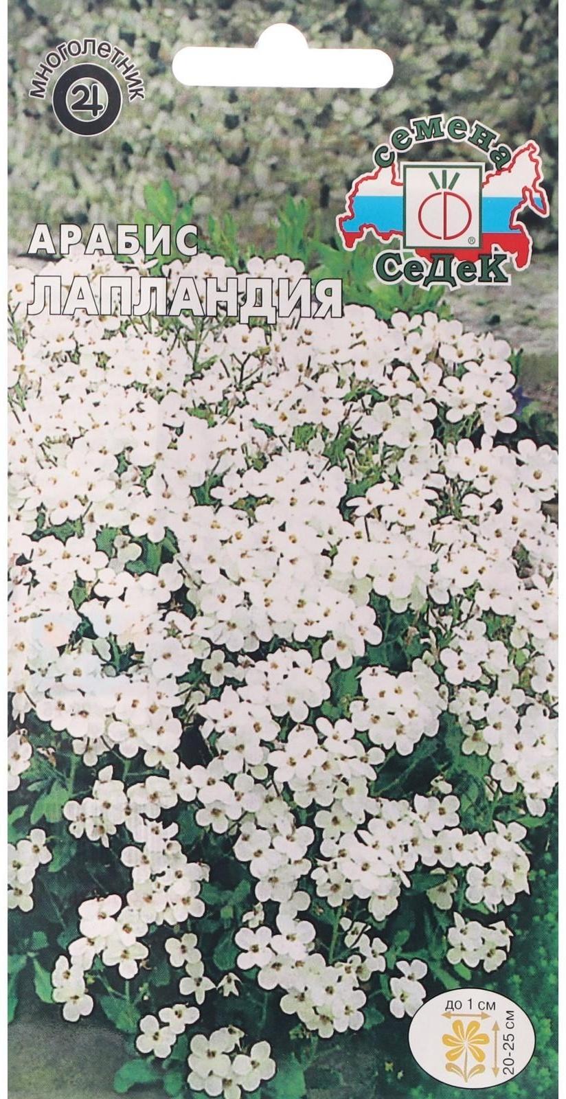 Семена Цветов Арабис 