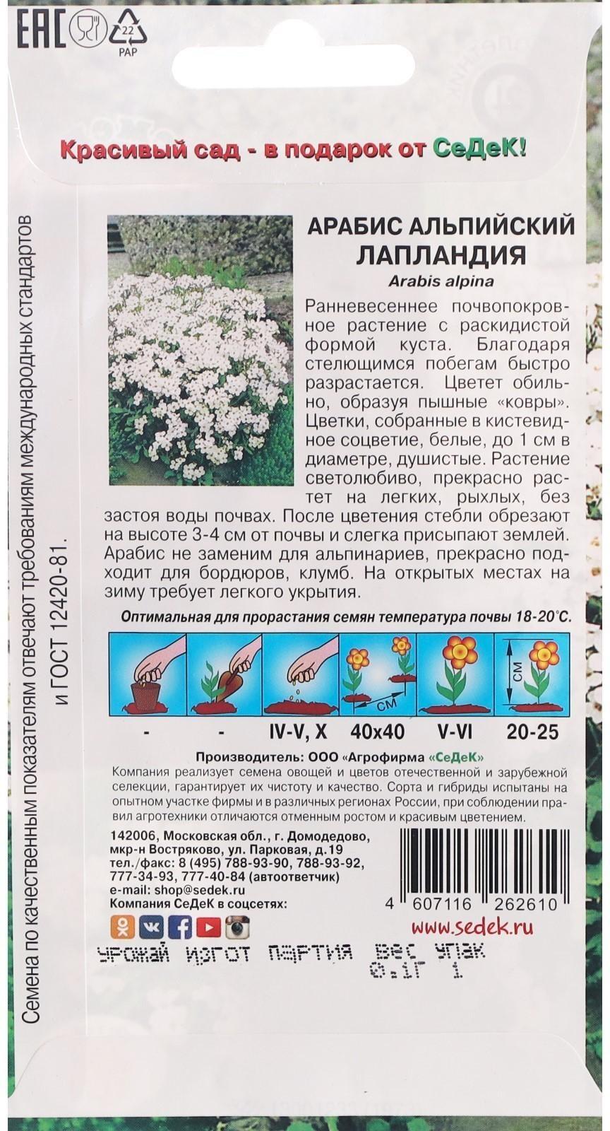 Семена Цветов Арабис 