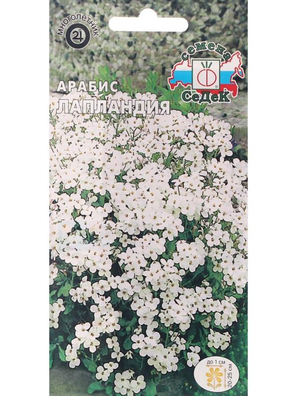Семена Цветов Арабис 