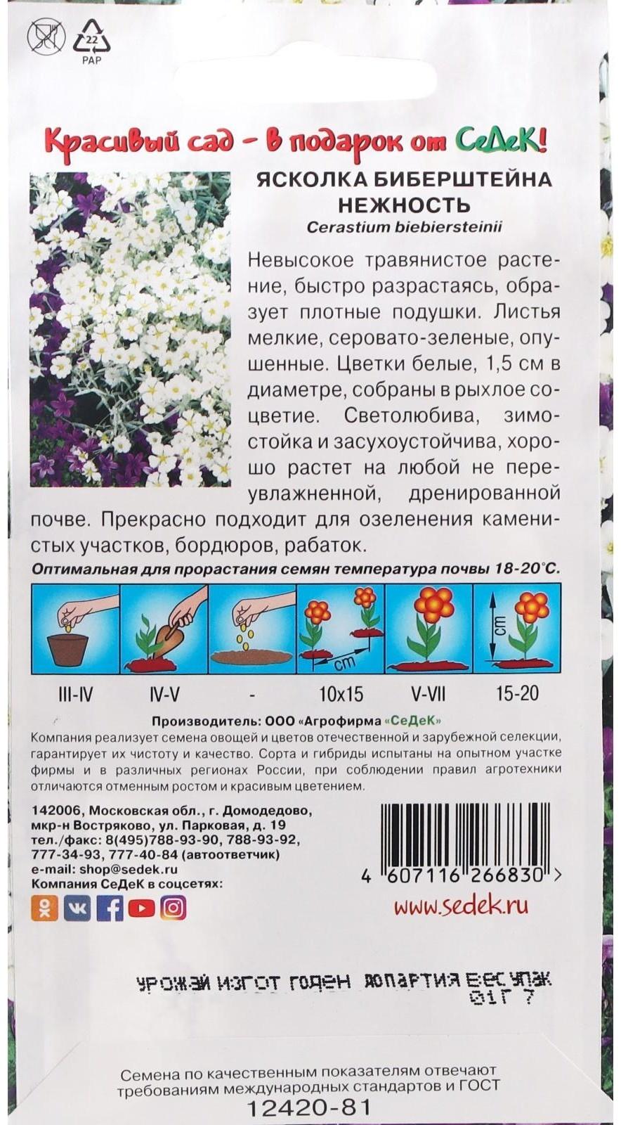 Семена Цветов Ясколка 