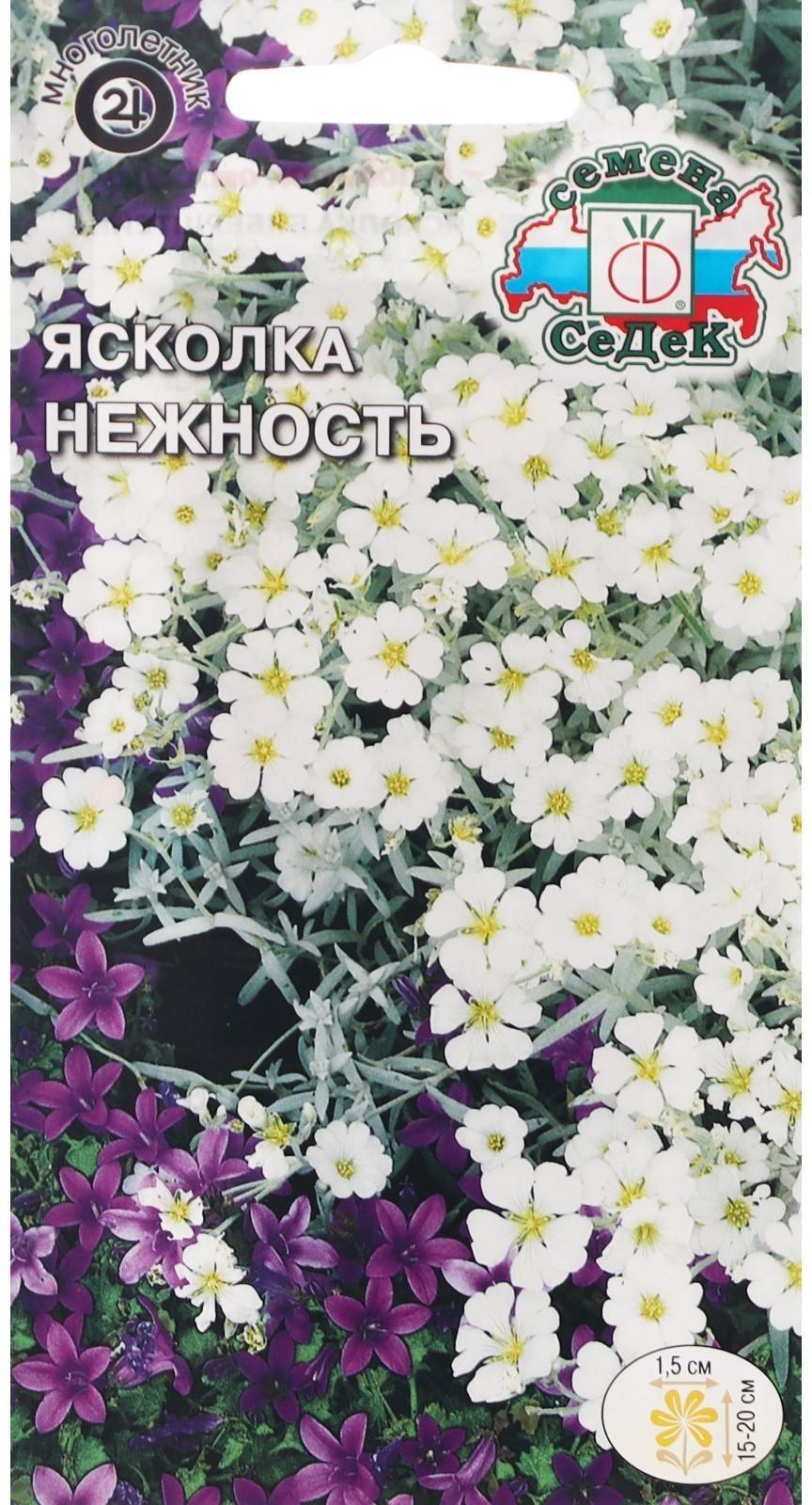 Семена Цветов Ясколка 