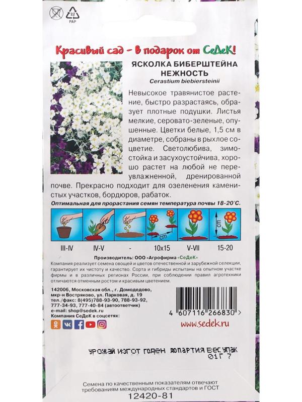 Семена Цветов Ясколка 