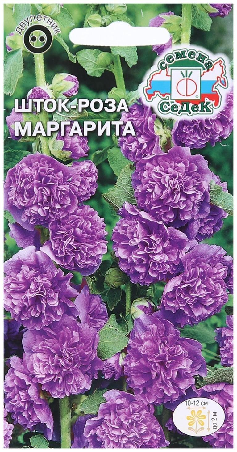 Семена Цветов Шток-роза 