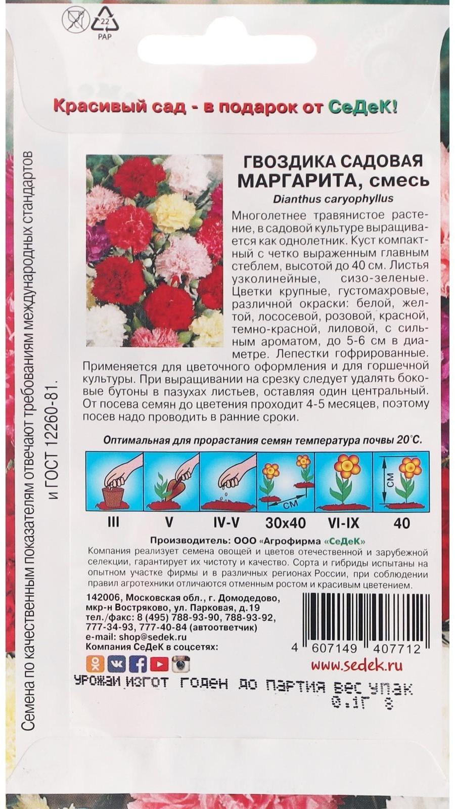 Семена цветов Гвоздика 