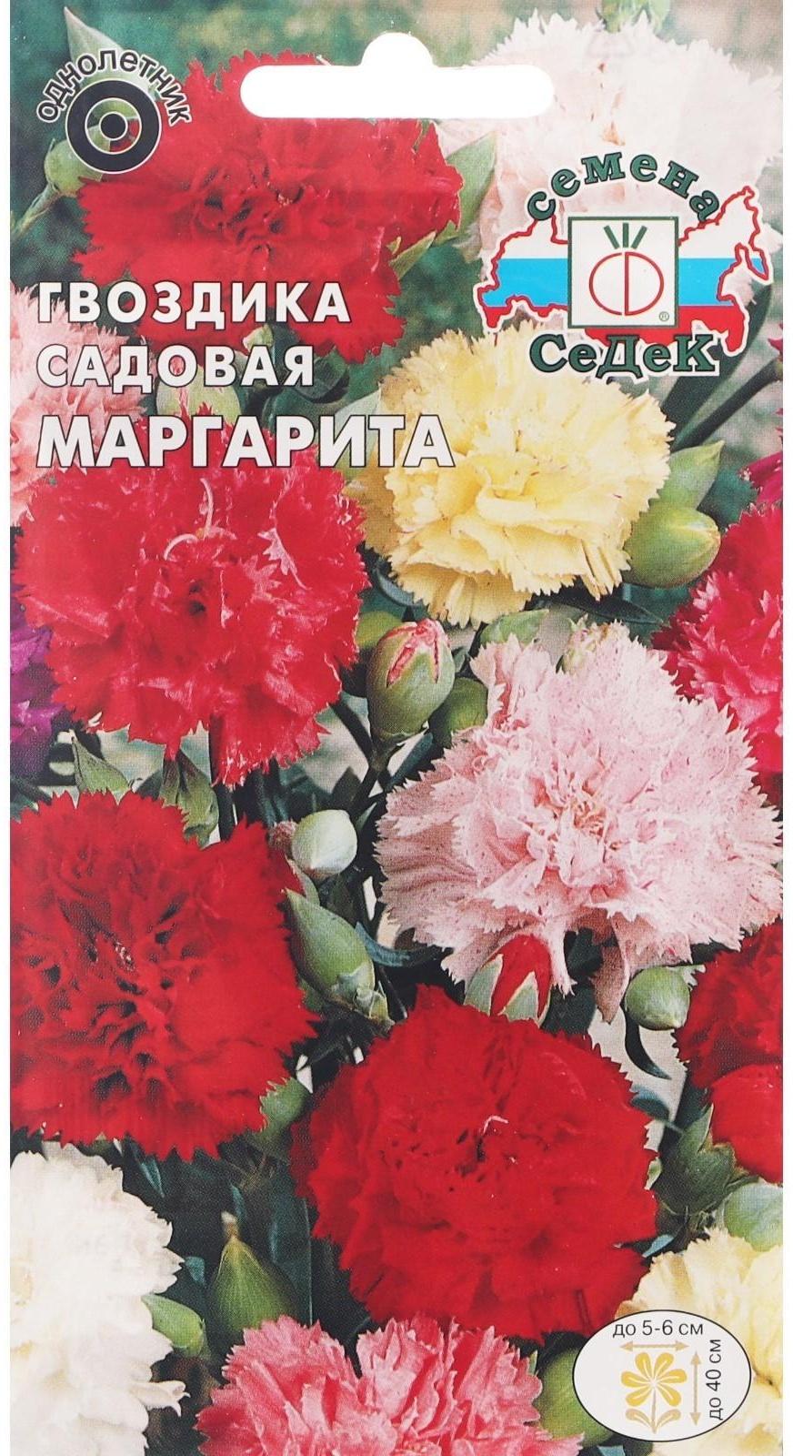 Семена цветов Гвоздика 