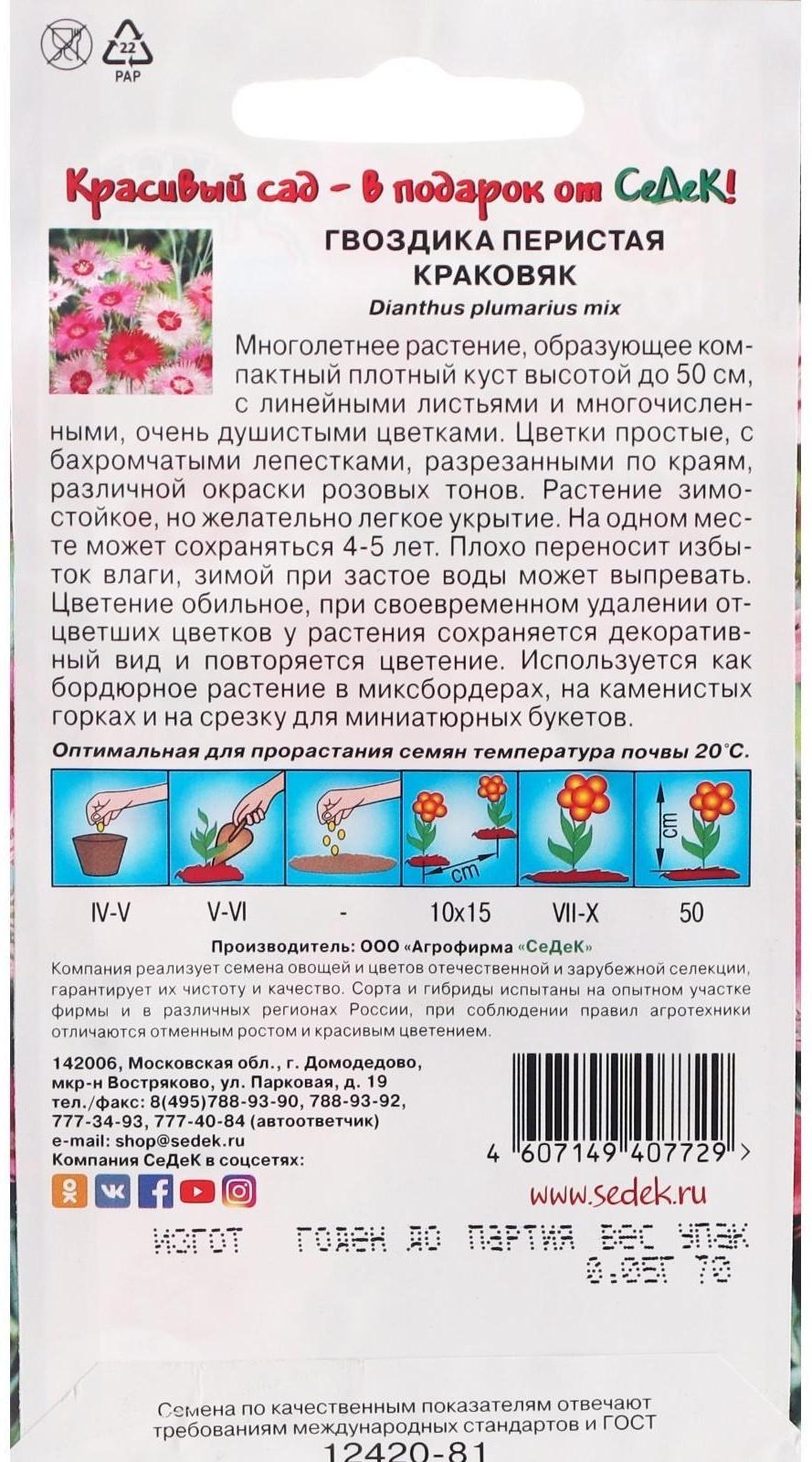 Семена Цветов Гвоздика 