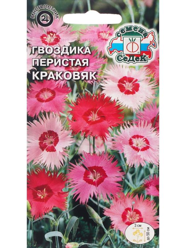 Семена Цветов Гвоздика 