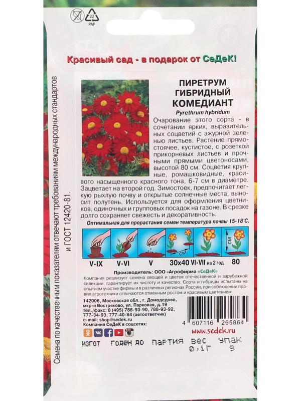 Семена Цветов Пиретрум 