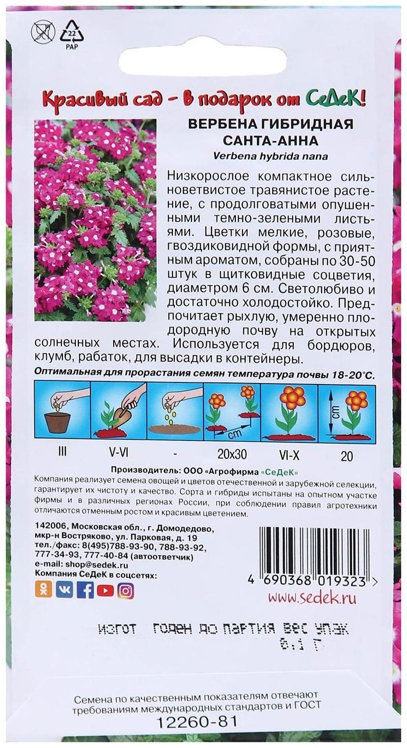 Семена цветов Вербена 