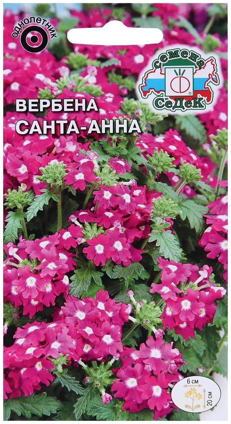 Семена цветов Вербена 