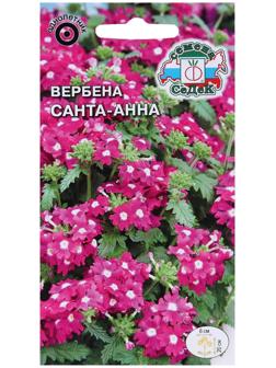 Семена цветов Вербена 