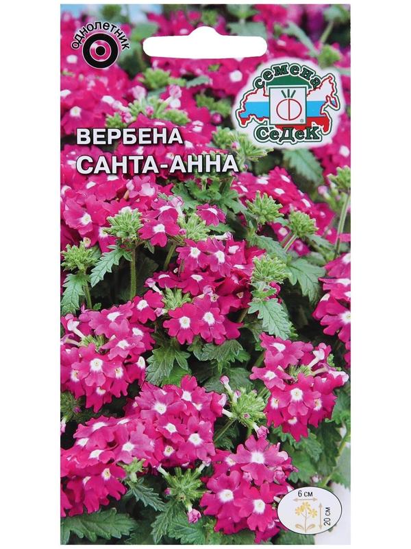 Семена цветов Вербена 