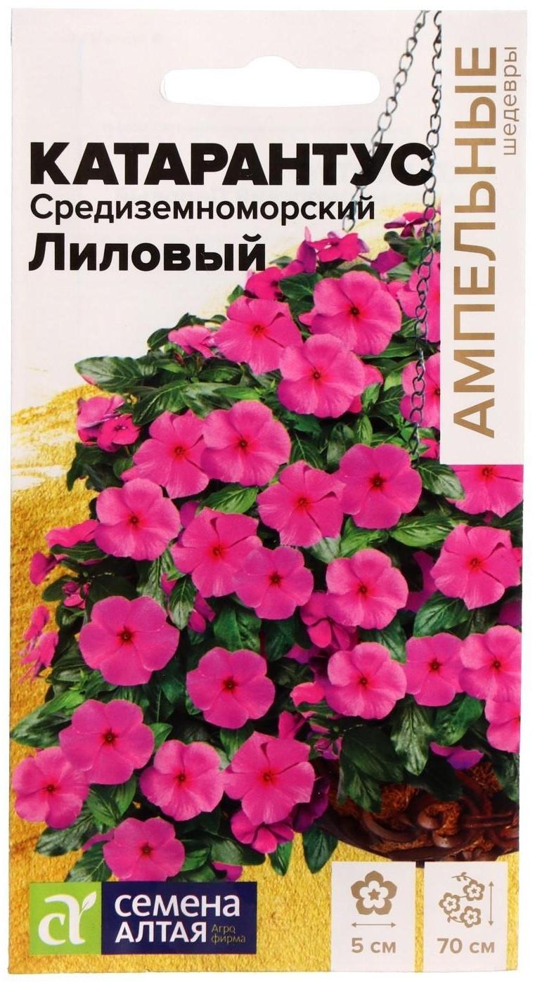 Семена цветов Катарантус 