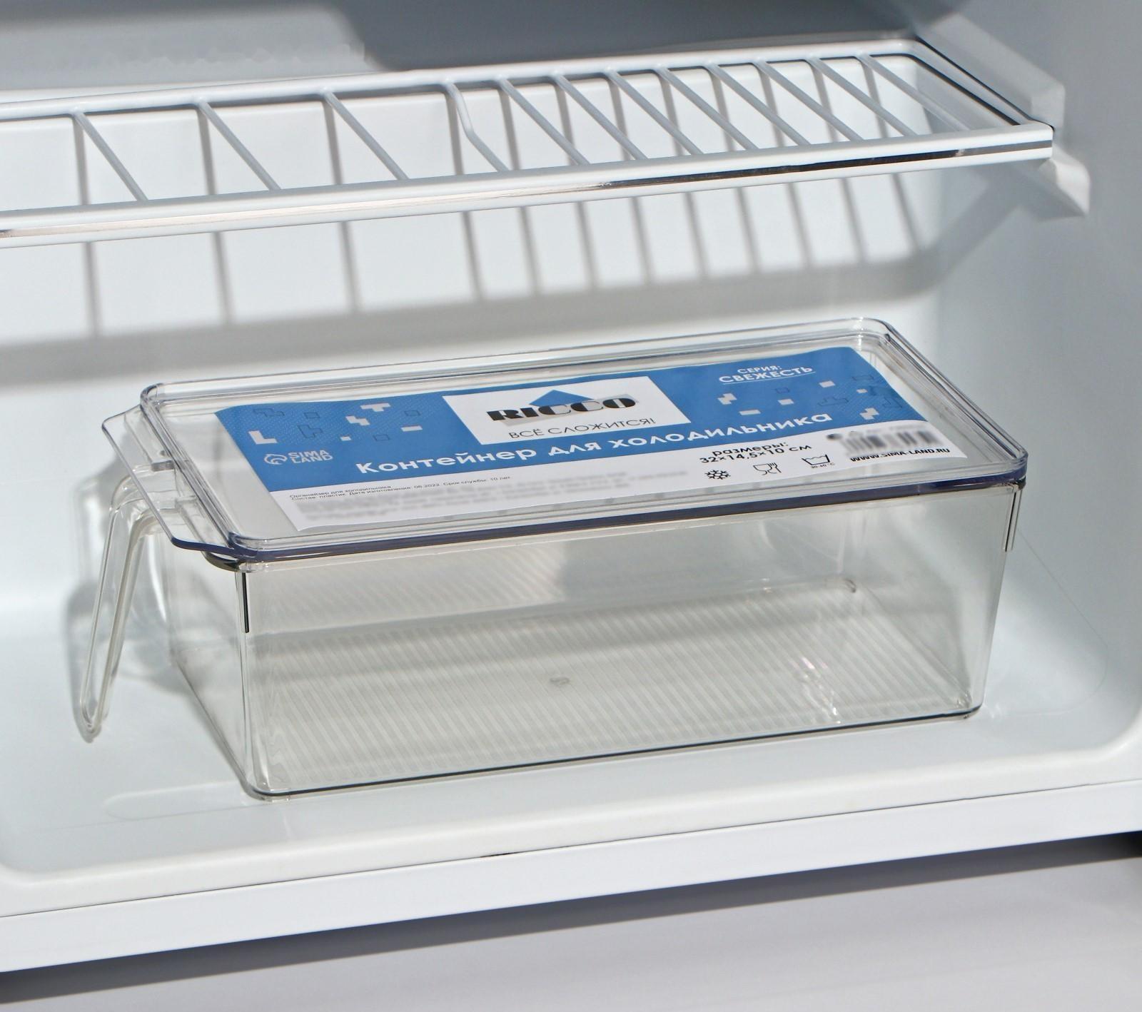 Контейнер для холодильника с крышкой и ручкой RICCO, 32×14,5×10 см, цвет прозрачный