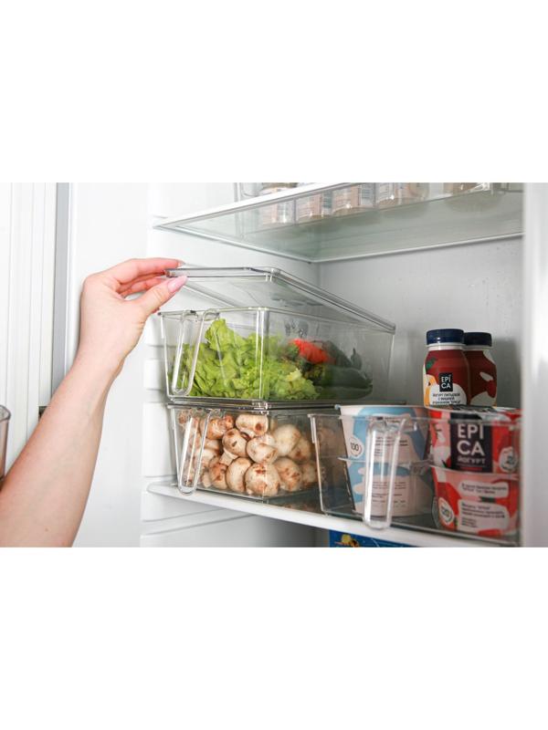 Контейнер для холодильника с крышкой и ручкой RICCO, 32×14,5×10 см, цвет прозрачный