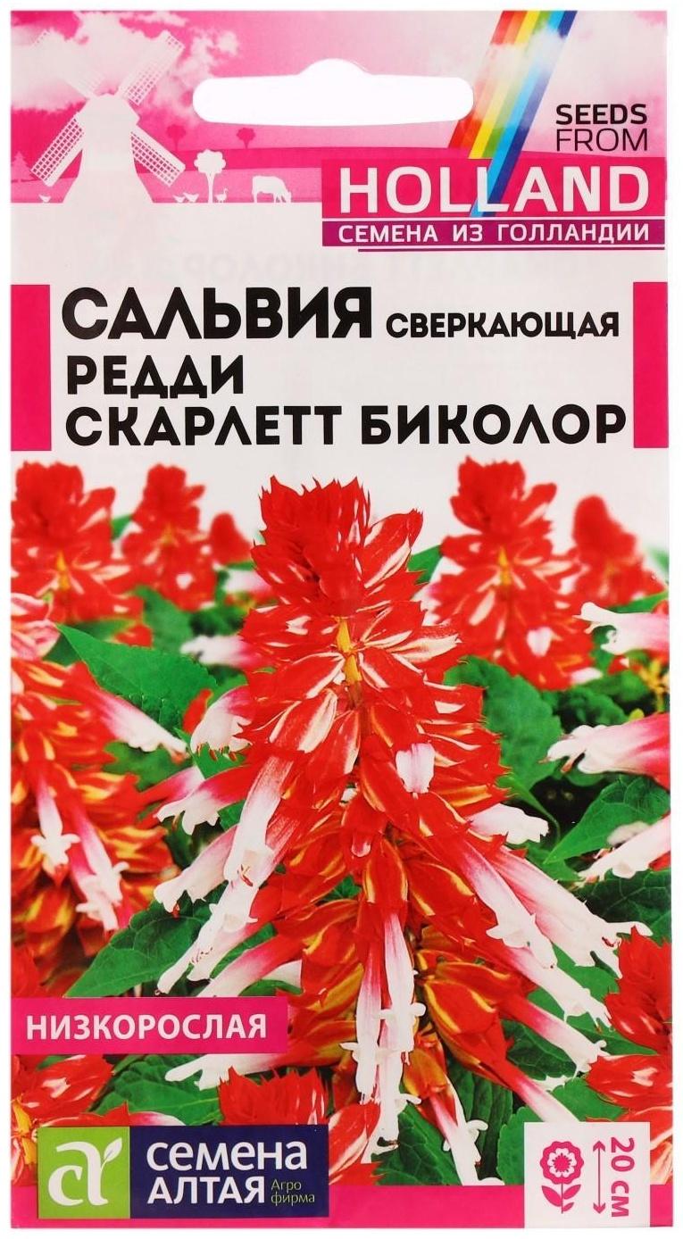 Семена цветов Сальвия 