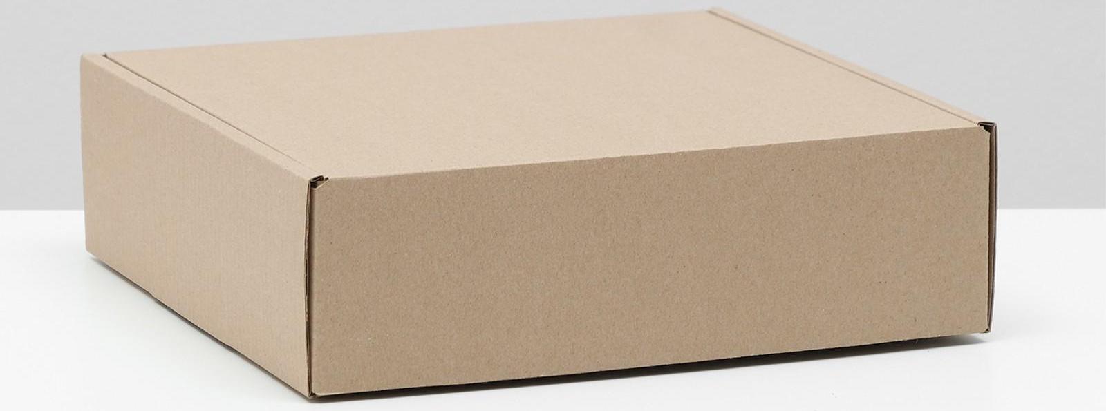 Коробка самосборная, бурая, 24 х 24 х 7,5 см