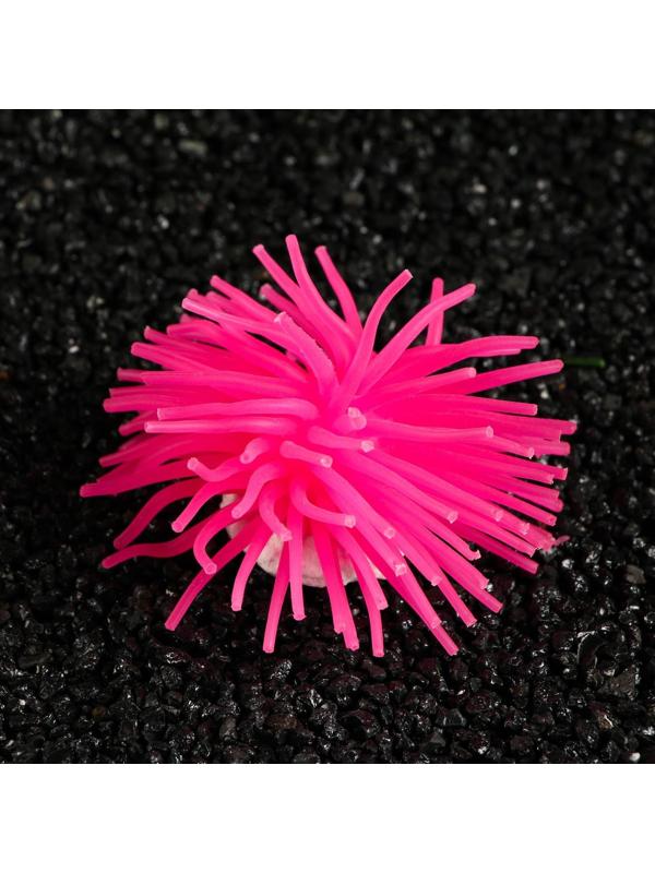 Декоративный анемон для аквариума, 8 х 5 см, розовый