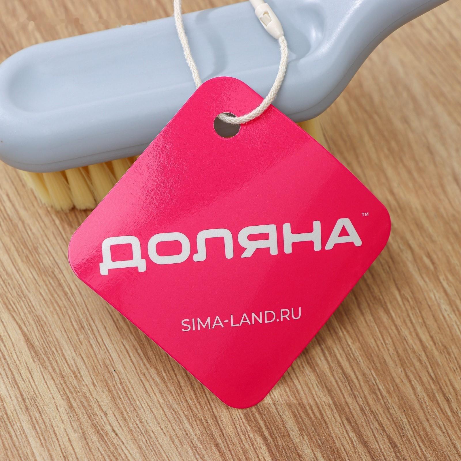 Щётка универсальная Доляна Breeze, 23×3,5 см, цвет МИКС