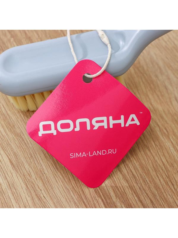 Щётка универсальная Доляна Breeze, 23×3,5 см, цвет МИКС