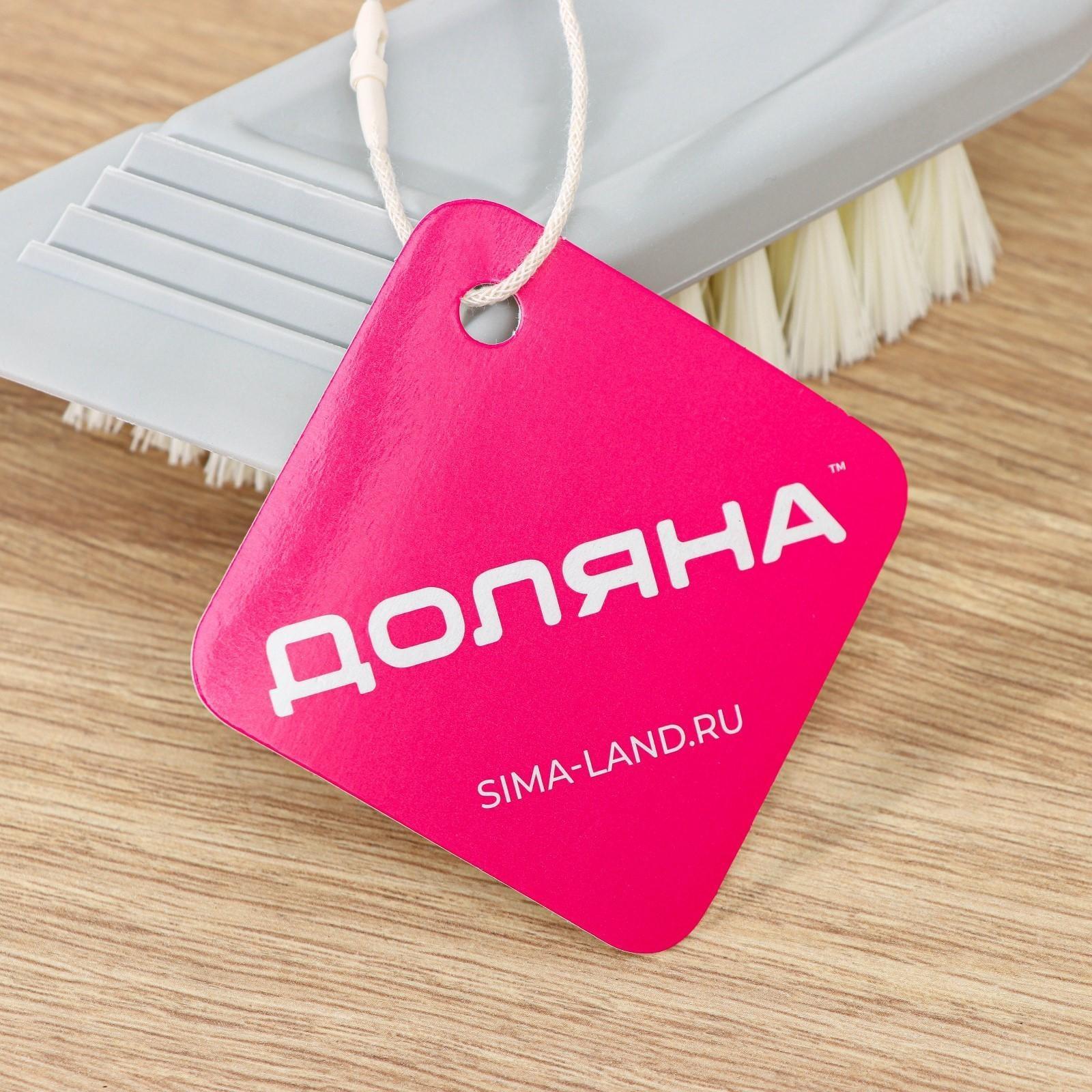 Щётка универсальная Доляна Breeze, в одном корпусе со скребком, 14 см, цвет МИКС