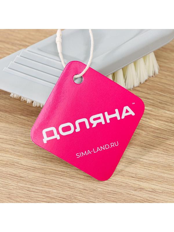 Щётка универсальная Доляна Breeze, в одном корпусе со скребком, 14 см, цвет МИКС