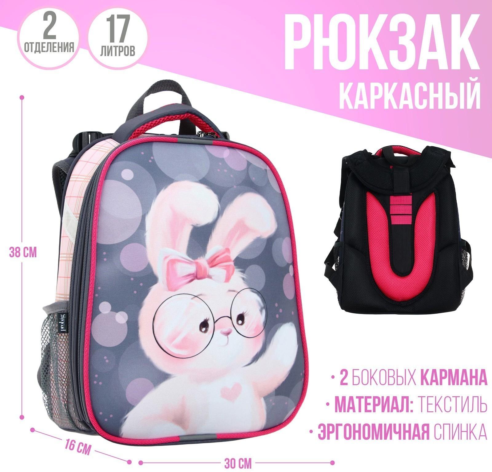 Рюкзак каркасный 38 х 30 х 16 см, эргономичная спинка, Calligrata Probag 