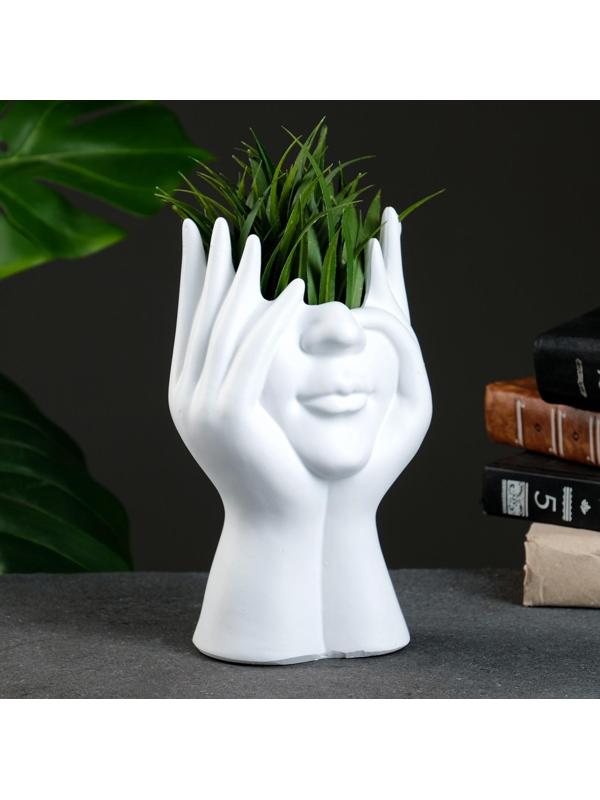 Кашпо - органайзер 