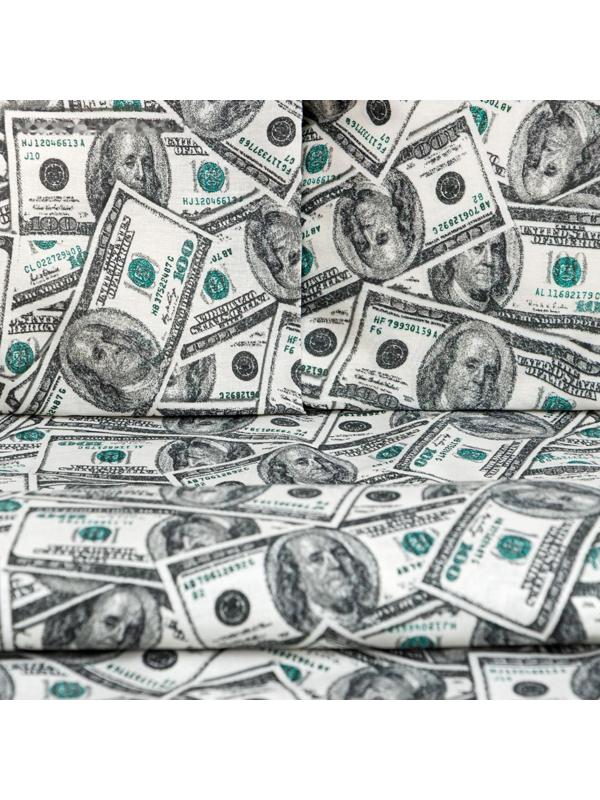 Постельное бельё «Этель» евро Cash 200х217 см, 220х240 см, 70х70 см -2 шт, бязь 125 г/м2