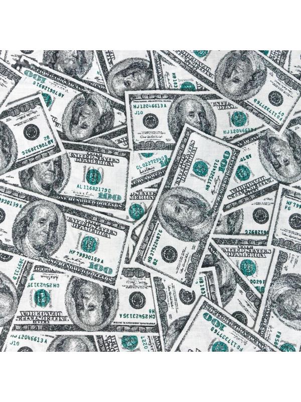 Постельное бельё «Этель» евро Cash 200х217 см, 220х240 см, 70х70 см -2 шт, бязь 125 г/м2