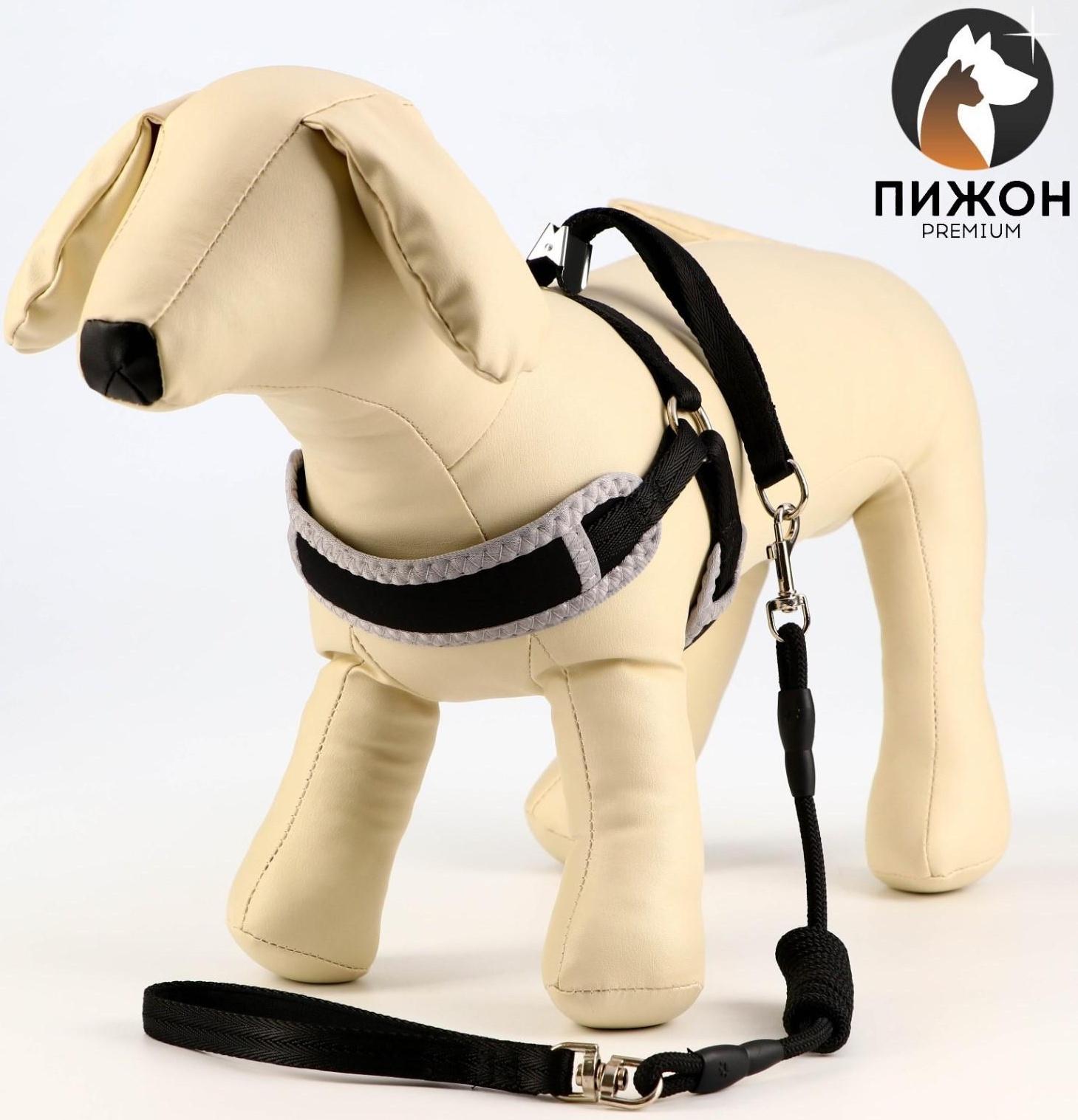 Комплект мягкая шлейка, круглый поводок 1 х 120 см с вертлюгом, S, ОШ 26-67 см, ОГ 26-67 см, чёрный