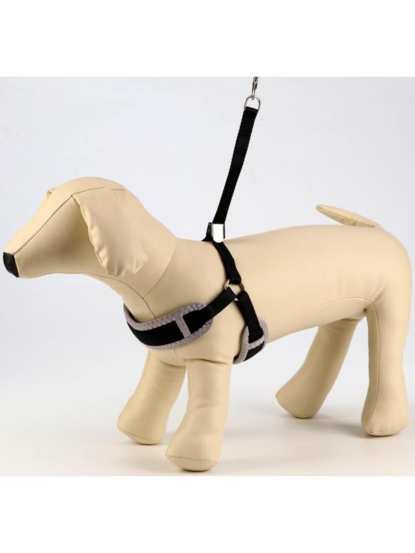 Комплект мягкая шлейка, круглый поводок 1 х 120 см с вертлюгом, S, ОШ 26-67 см, ОГ 26-67 см, чёрный