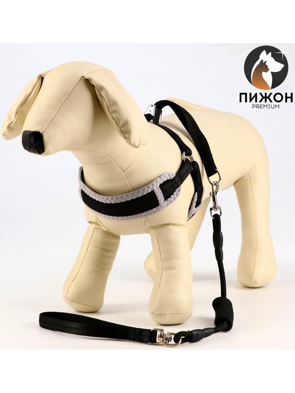 Комплект мягкая шлейка, круглый поводок 1 х 120 см с вертлюгом, S, ОШ 26-67 см, ОГ 26-67 см, чёрный