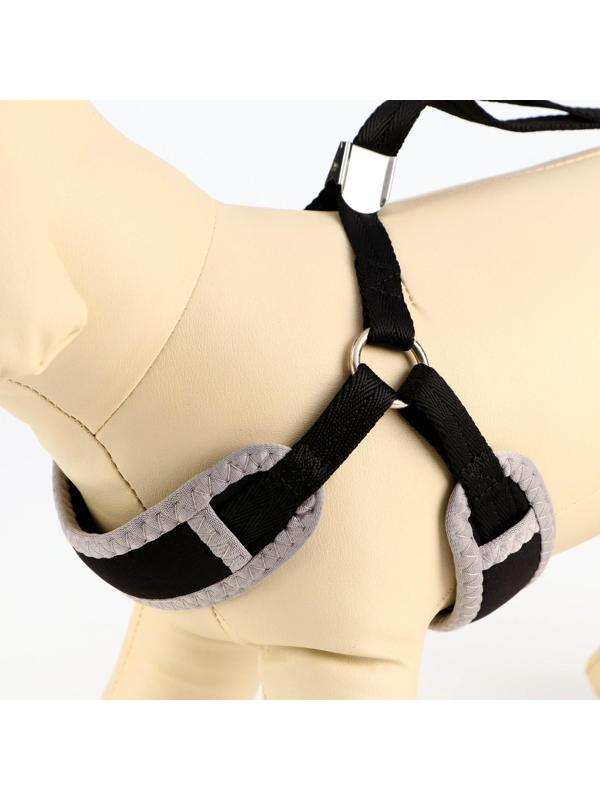 Комплект мягкая шлейка, круглый поводок 1 х 120 см с вертлюгом, S, ОШ 26-67 см, ОГ 26-67 см, чёрный