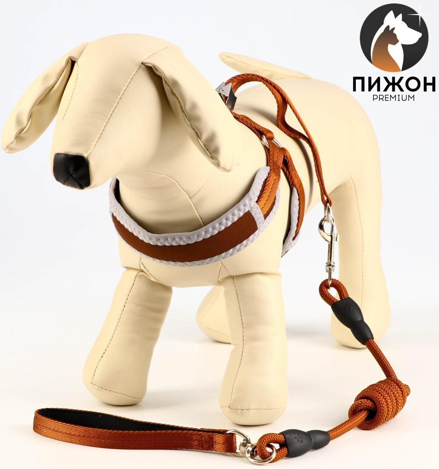 Комплект мягкая шлейка, круглый поводок 1,5 х 120 см с вертлюгом, M, ОШ 32-72 см, ОГ 32-72 см, корич