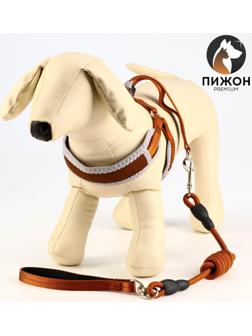 Комплект мягкая шлейка, круглый поводок 1,5 х 120 см с вертлюгом, M, ОШ 32-72 см, ОГ 32-72 см, корич