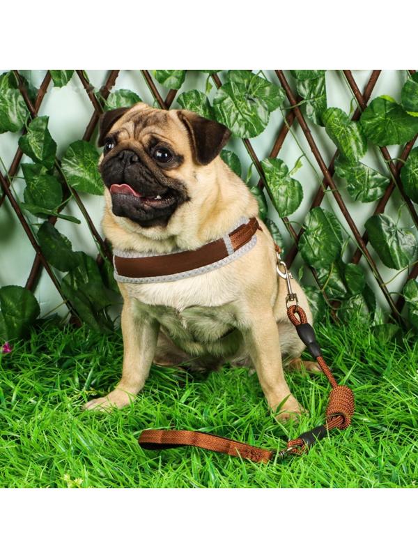 Комплект мягкая шлейка, круглый поводок 1,5 х 120 см с вертлюгом, M, ОШ 32-72 см, ОГ 32-72 см, корич