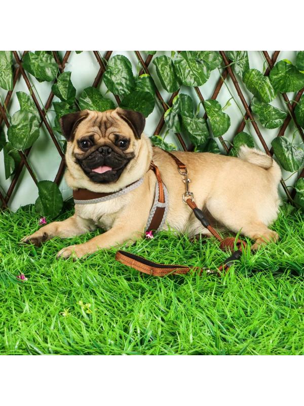 Комплект мягкая шлейка, круглый поводок 1,5 х 120 см с вертлюгом, M, ОШ 32-72 см, ОГ 32-72 см, корич