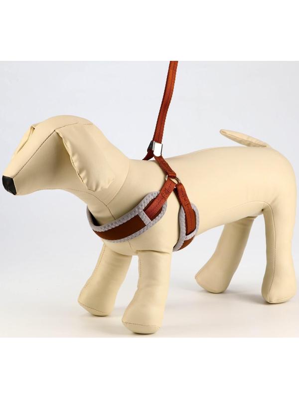 Комплект мягкая шлейка, круглый поводок 1,5 х 120 см с вертлюгом, M, ОШ 32-72 см, ОГ 32-72 см, корич