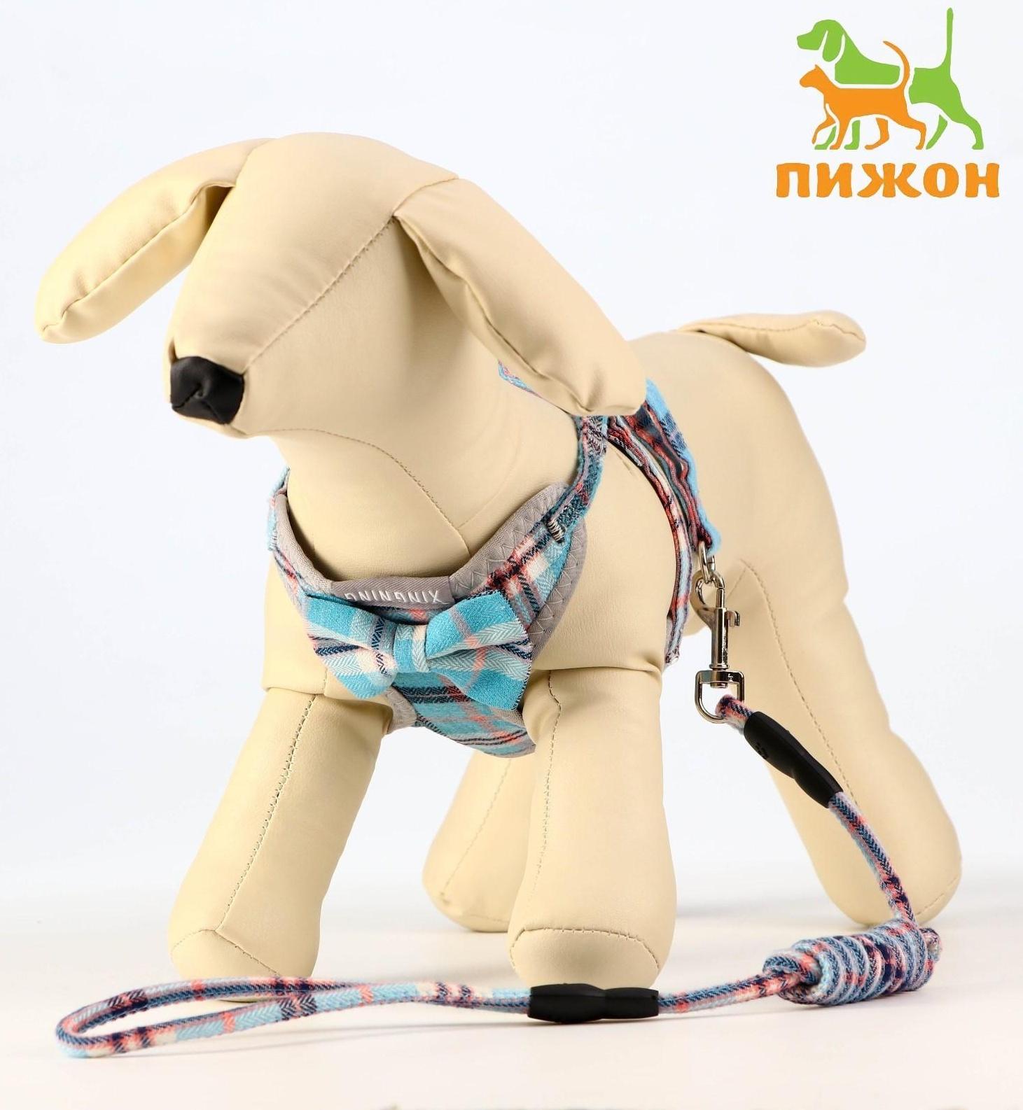 Комплект амуниции с мягкой шлейкой, 1 х 120 см, ОШ 28-54 см,ОГ 36-60 см, серо-голубая клетка