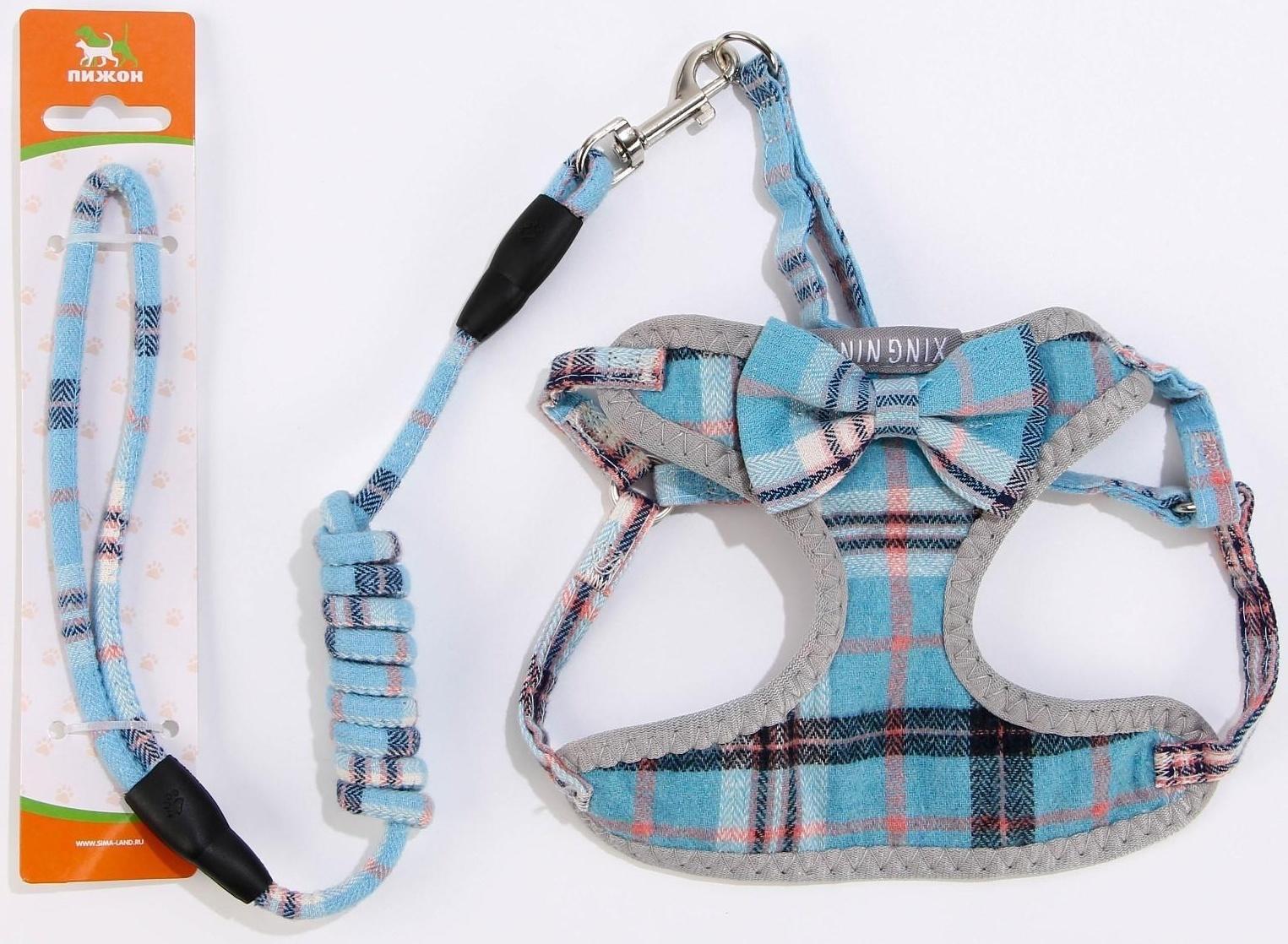 Комплект амуниции с мягкой шлейкой, 1 х 120 см, ОШ 28-54 см,ОГ 36-60 см, серо-голубая клетка